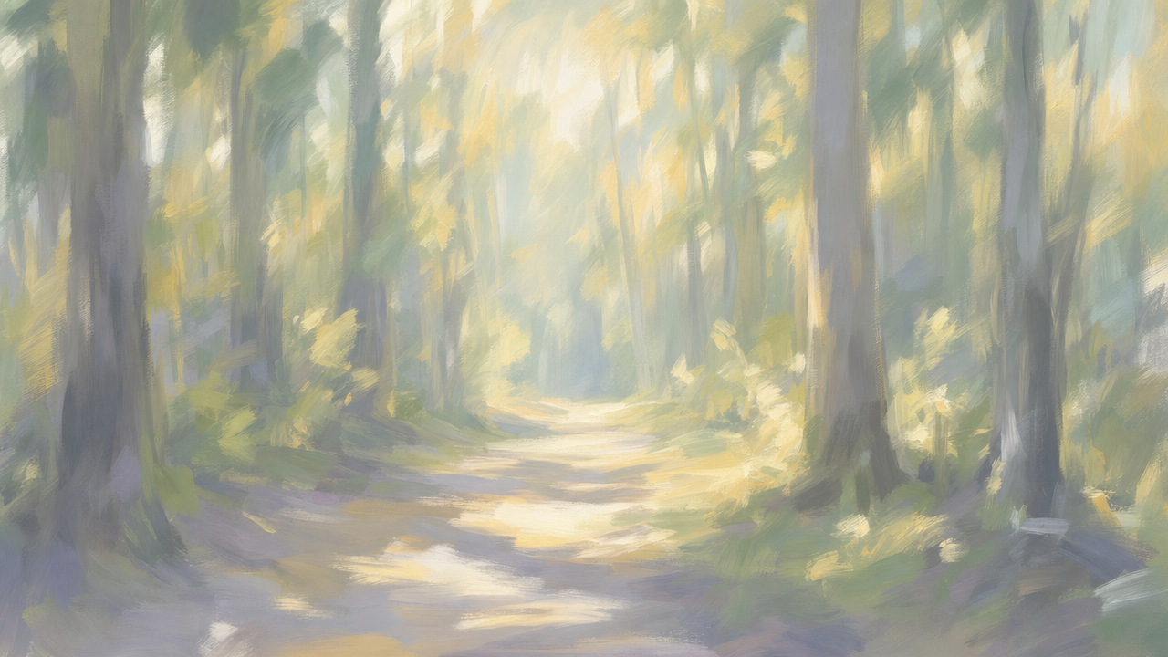 Sunlit forest path